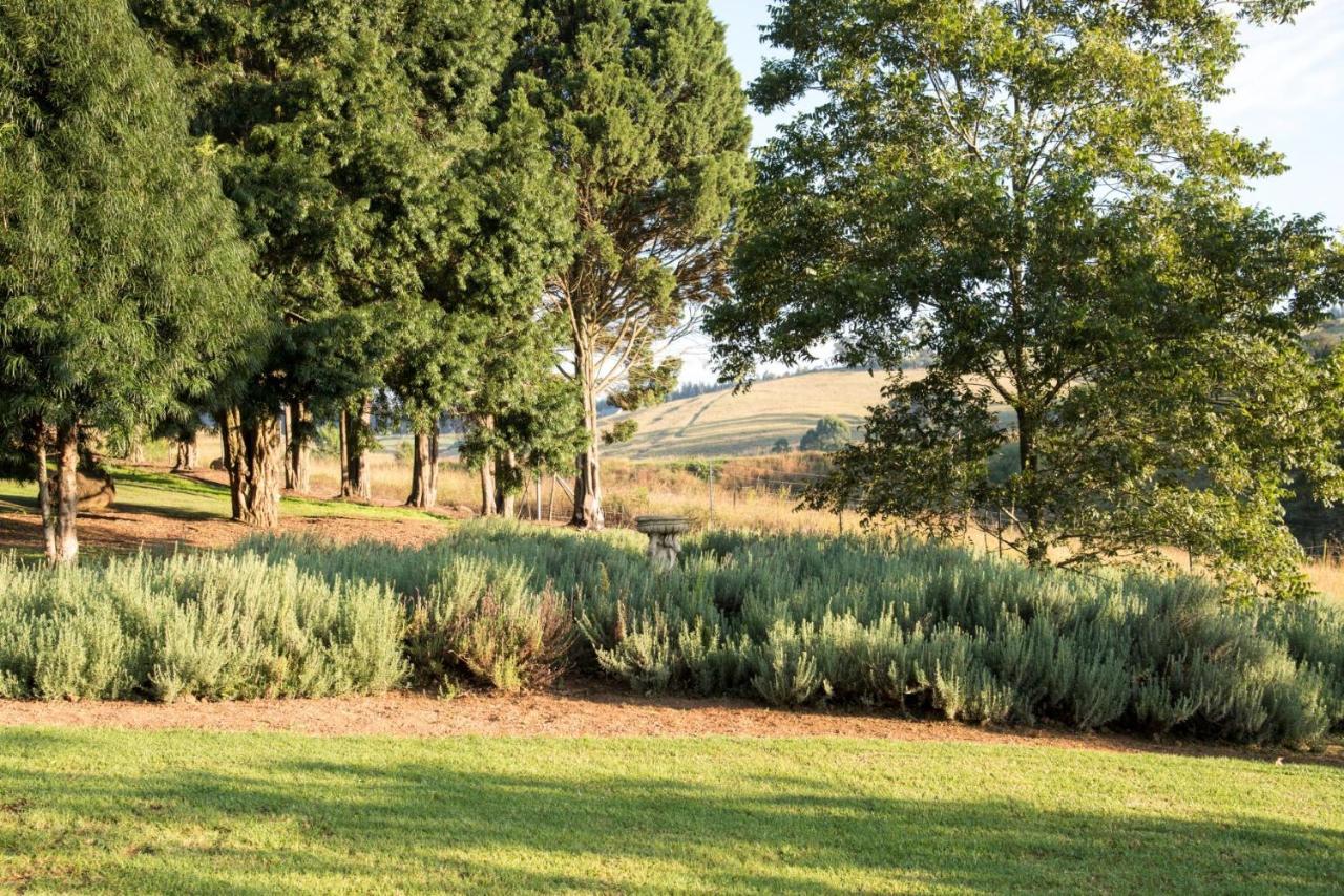 Lions River Country Cottages エクステリア 写真